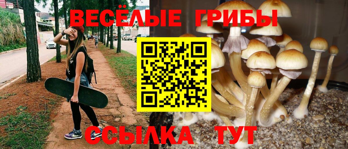 Псилоцибиновые грибы Cubensis  Вход с VPN  Ишимбай  Галлюциногенные грибы Psilocybe 