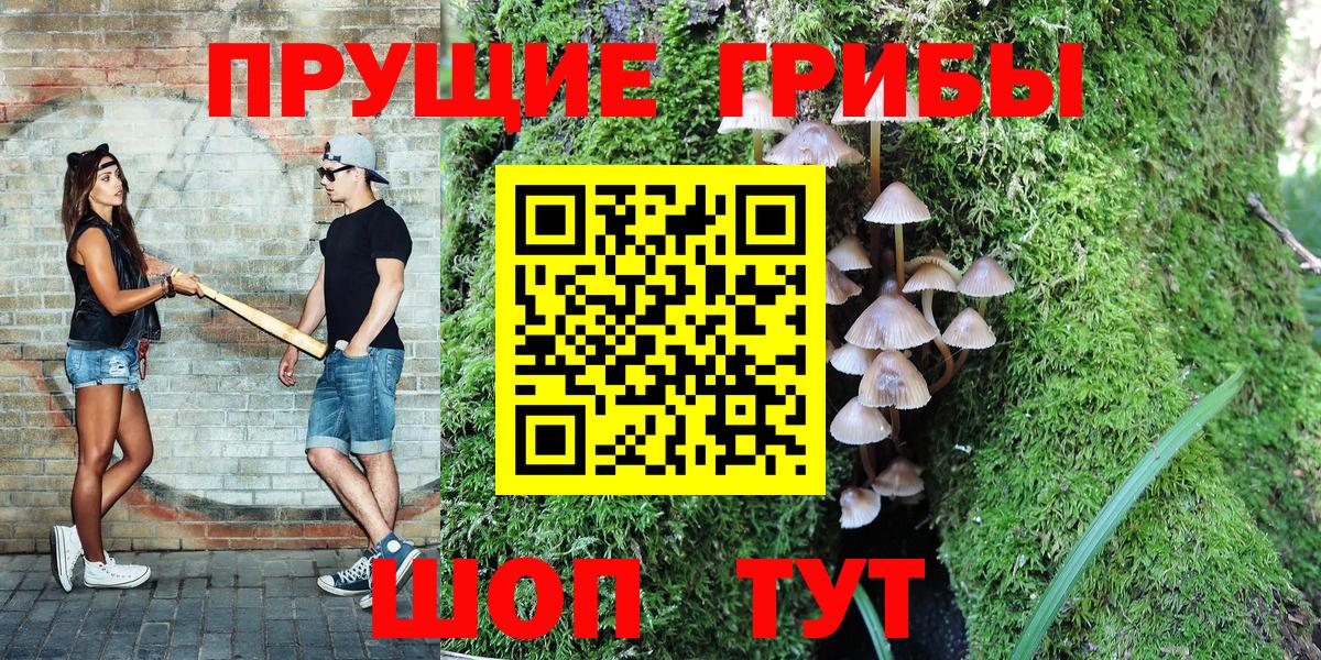 Галлюциногенные грибы Psilocybe Ишимбай